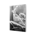 Zennio Flat XL X10 (Custom)