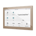 Zennio Z100 (Champagne)