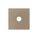 Zennio ZS55 - 3.5mm jack centraalplaat (Champagne) - VPE=10