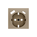 Zennio ZS55 - Centraalplaat 55x55mm voor schuko stopcontact met USB C+A (Champagne)