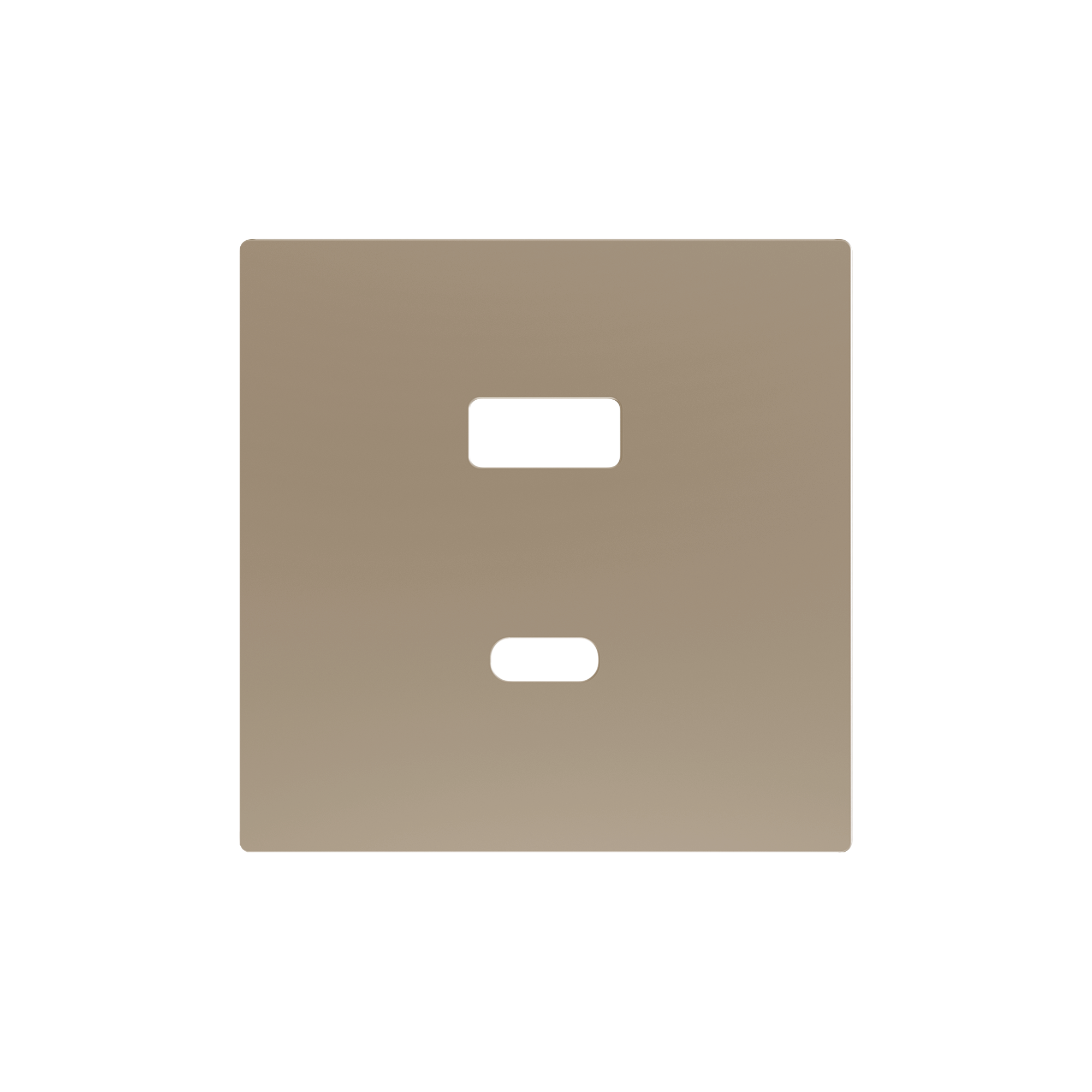 Zennio ZS55 - USB-C+A centraalplaat (Champagne)