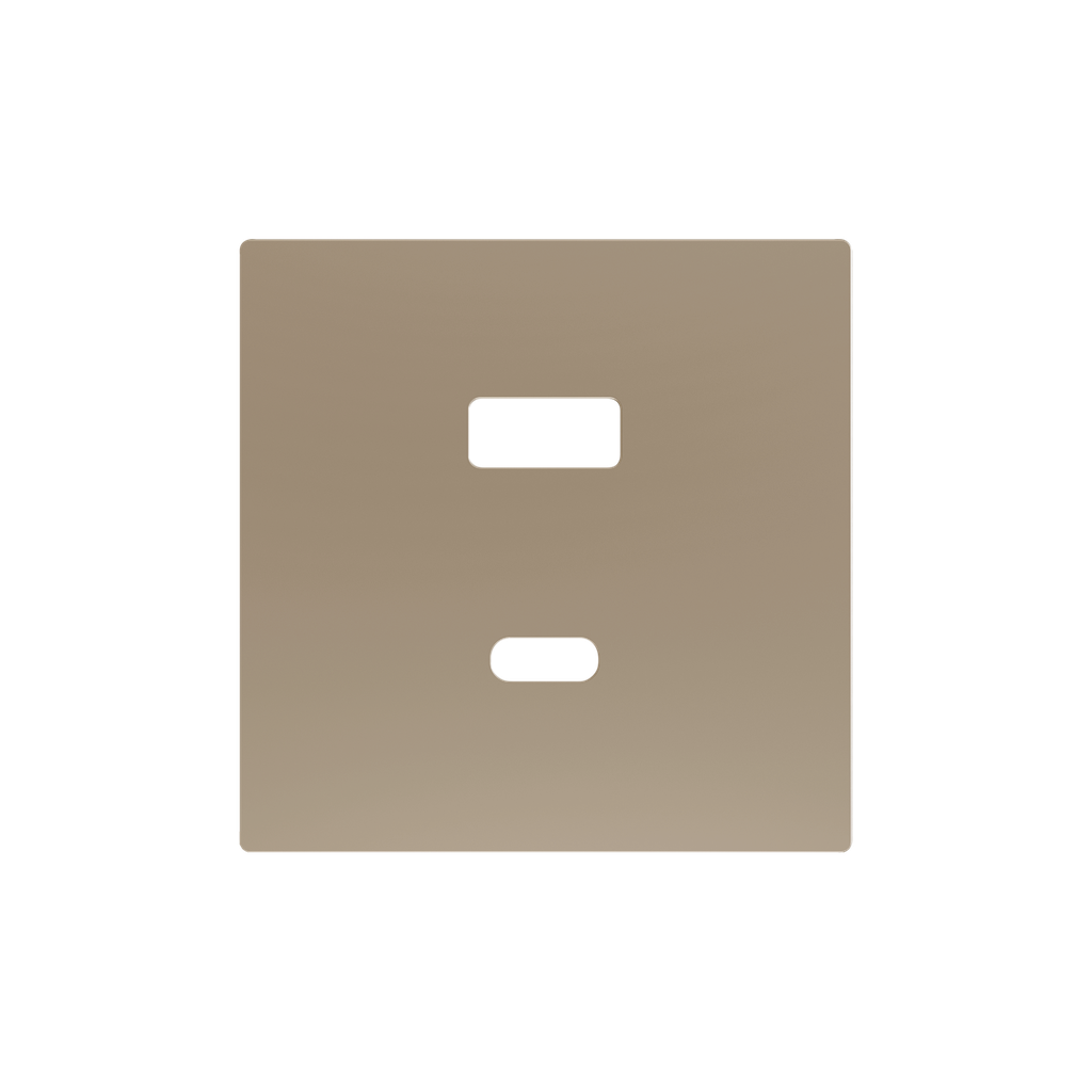 Zennio ZS55 - USB-C+A centraalplaat (Champagne)