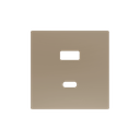 Zennio ZS55 - USB-C+A centraalplaat (Champagne)