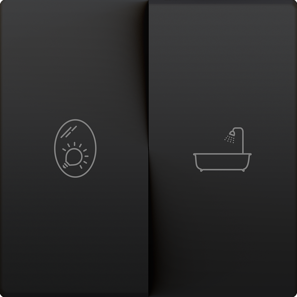 Zennio ZS55 - Bouton-poussoir double avec impression personnalisée (Anthracite)