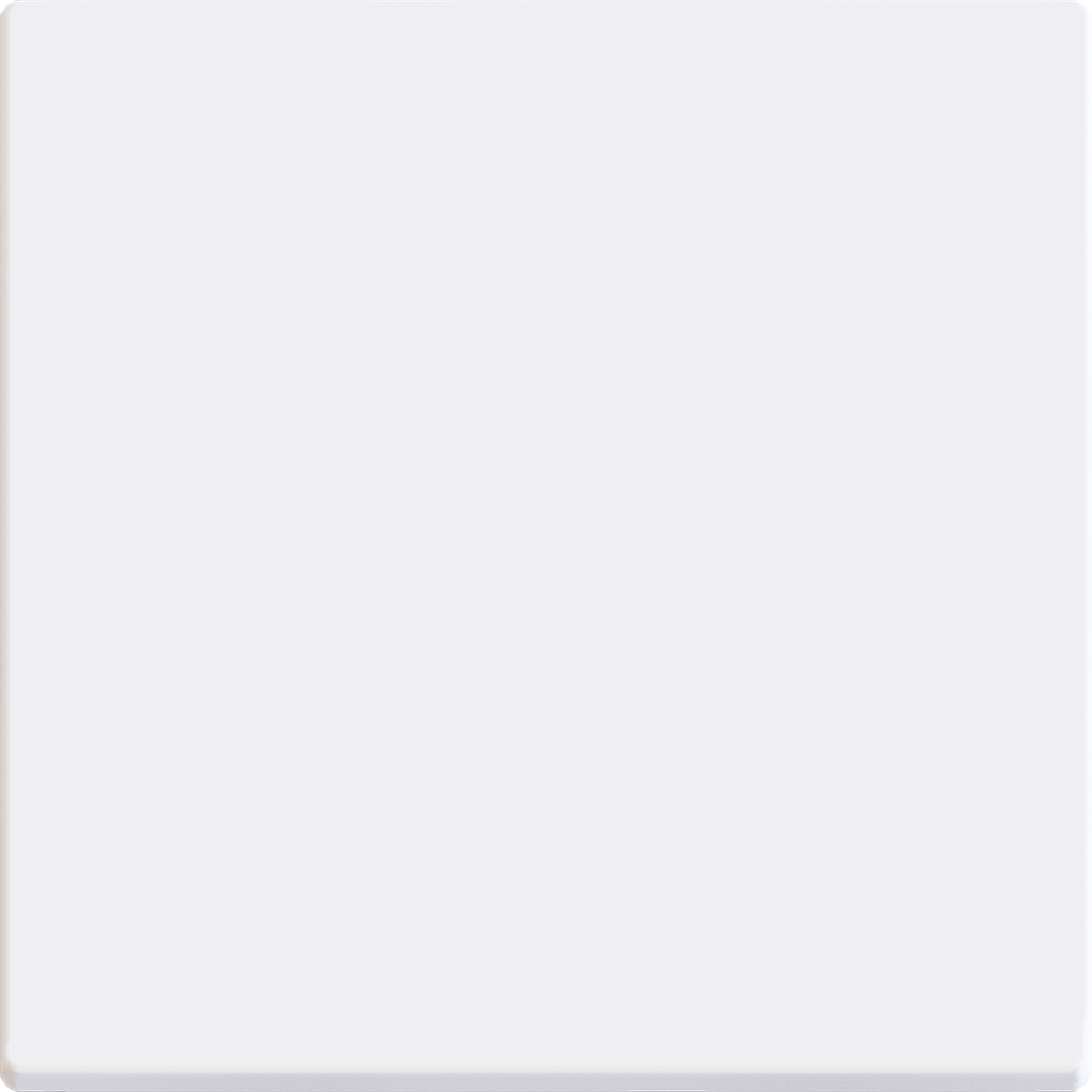 Zennio ZS55 - Recouvrement pour interrupteur (Blanc mat)