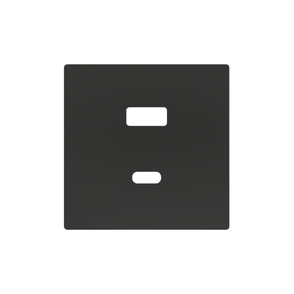 Zennio ZS55 - Enjoliveur USB-C+A (Antracite)