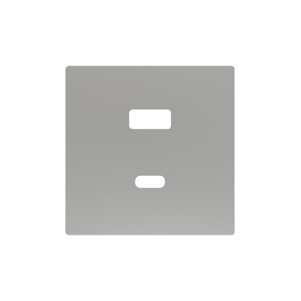 Zennio ZS55 - USB-C+A centraalplaat (Zilver)