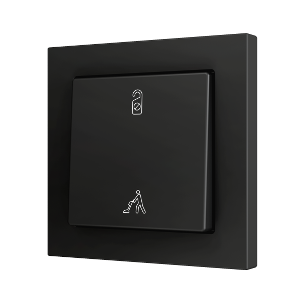 Zennio ZS55 - Bouton poussoir Soft - simple 2-p (Anthracite - Custom) - à partir de 100 pièces/VPE=10
