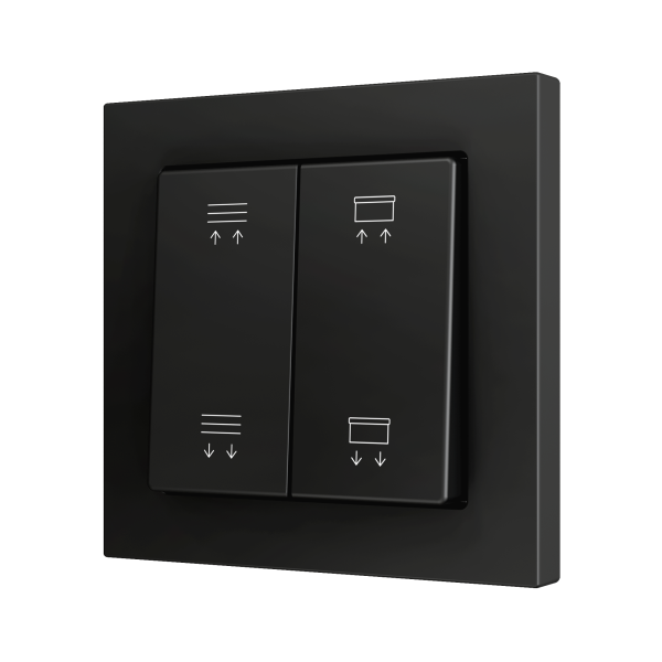 Zennio ZS55 - Bouton poussoir Soft - double 4-p (Anthracite - Custom) - à partir de 100 pièces/VPE=10