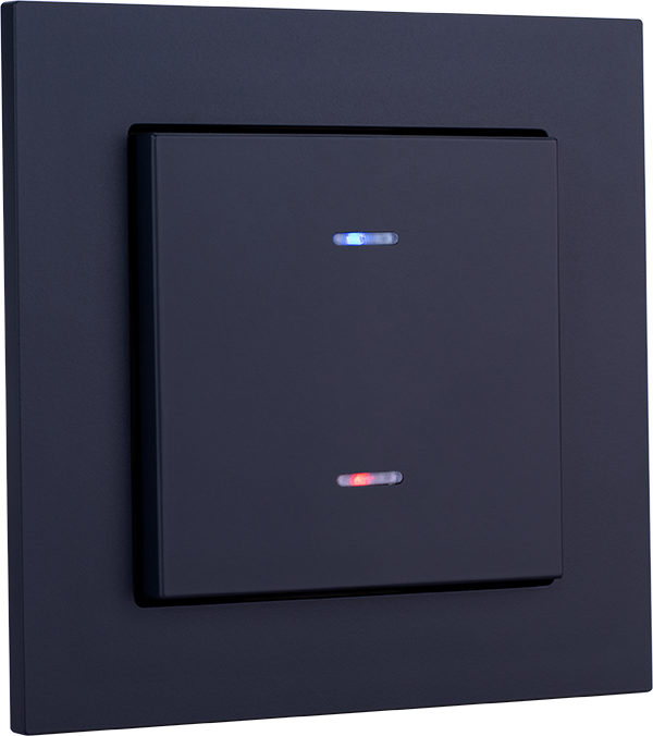 Weinzierl Match 55 - Enkele schakelaarafdekking met statusindicatie (Zwart)