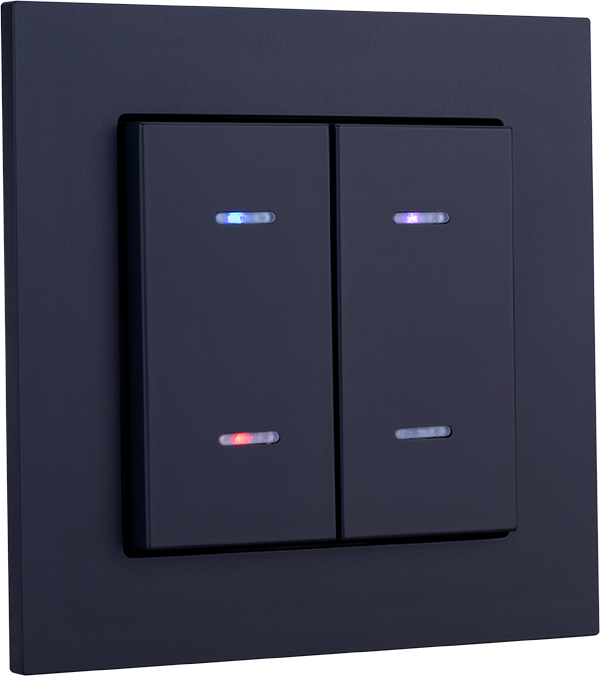 Weinzierl Match 55 - Dubbele schakelaarafdekking met statusindicatie (Zwart)