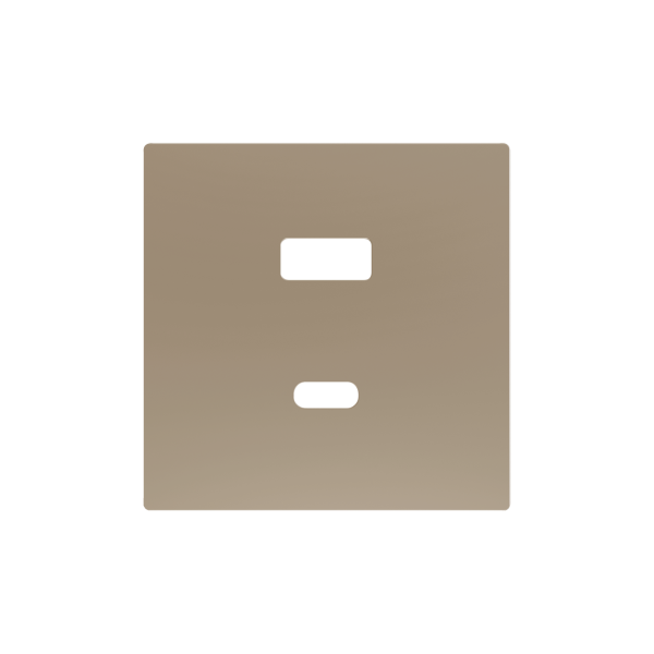 Zennio ZS55 - USB-C+A centraalplaat (Champagne)