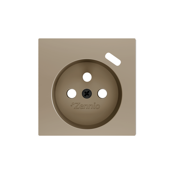 Zennio ZS55 - Cache pour base de prise à borne avec USB C 55x55 mm (Champagne)