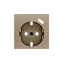 Zennio ZS55 - Centraalplaat 55x55mm voor schuko stopcontact met USB C (Champagne)