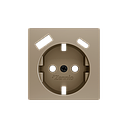 Zennio ZS55 - Cache pour base de prise Schuko avec USB C+A 55x55 mm (Champagne)