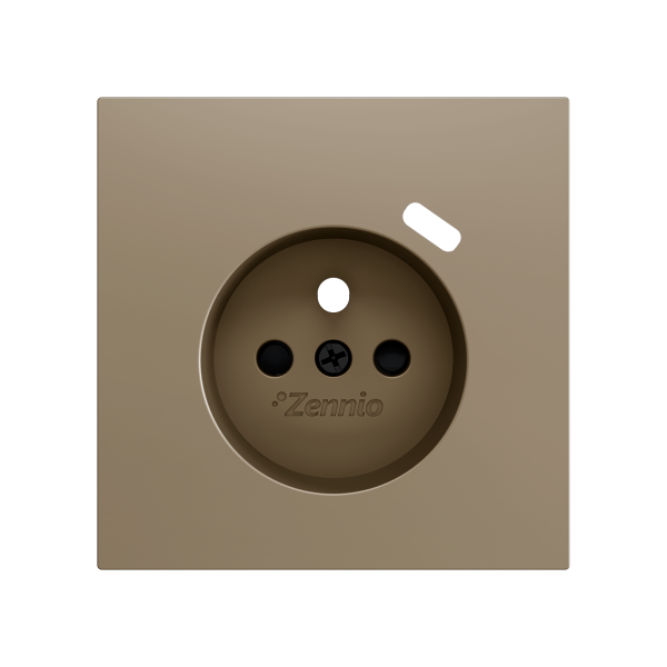 Zennio ZS70 - Centraalplaat 70x70mm voor penaarde stopcontact met USB C (Champagne)
