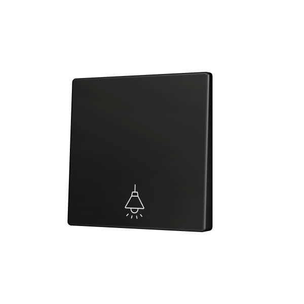 Zennio ZS55 - Enkelvoudige toets (neerwaarts) voor KNX Soft drukknop - Custom (Antraciet) - Vanaf 100 stuks