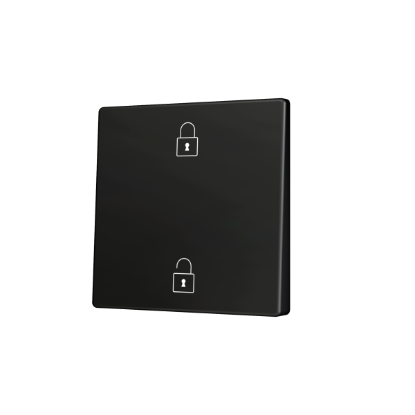 Zennio ZS55 - Enkelvoudige toets (op/neer) voor KNX Soft drukknop - Custom (Antraciet) - Vanaf 100 stuks