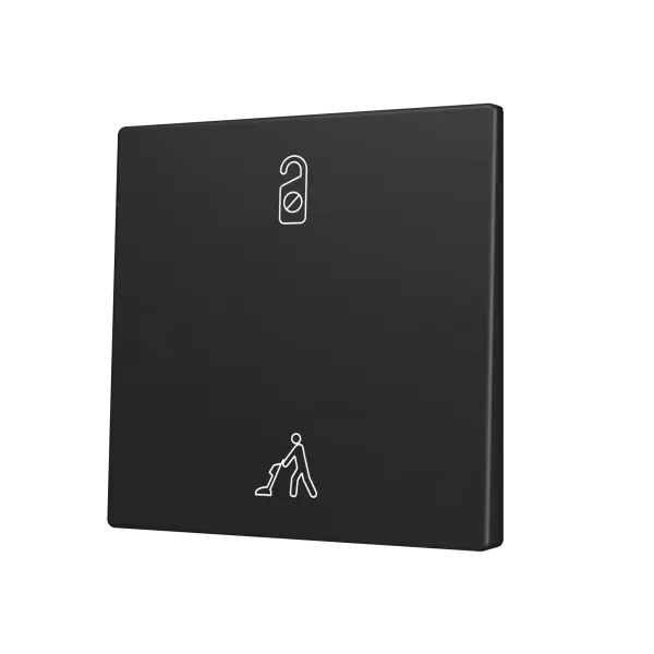 Zennio ZS55 - Touche simple (appui bas/haut) pour bouton poussoir KNX Soft - Custom (Anthracite) - A partir de 100 pièces