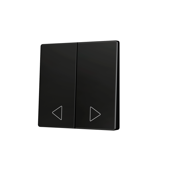 Zennio ZS55 - Touche double (appui en bas) pour bouton poussoir KNX Soft - Custom (Anthracite) - A partir de 100 pièces