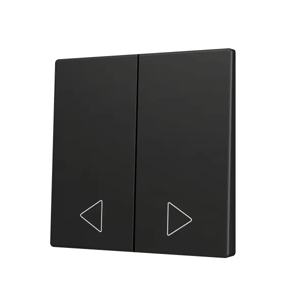 Zennio ZS55 - Touche double (appui en bas) pour bouton poussoir KNX Soft - Custom (Anthracite) - A partir de 100 pièces