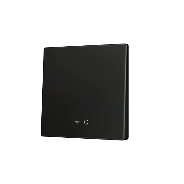 Zennio ZS55 - Enkelvoudige toets (neerwaarts) voor KNX Soft drukknop - Sleutel icoon (Antraciet)