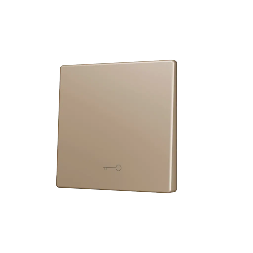 Zennio ZS55 - Touche simple (appui en bas) pour bouton poussoir KNX Soft - Icône de clef (Champagne)