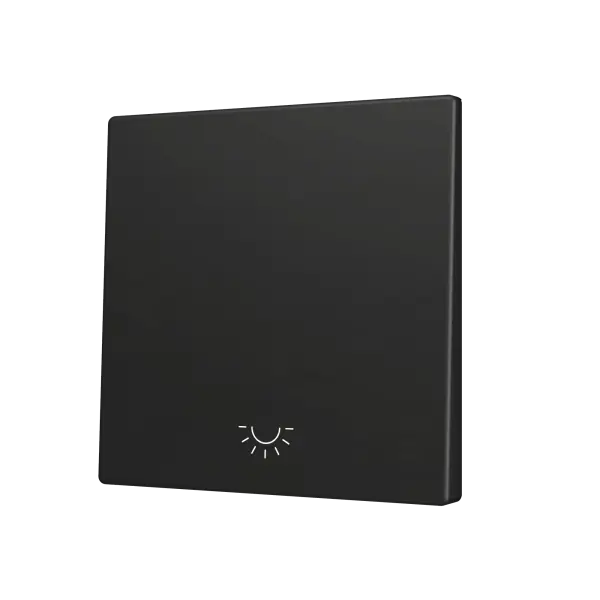 Zennio ZS70 - Touche simple (appui en bas) pour bouton poussoir KNX Soft - Icône de lumière (Anthracite)