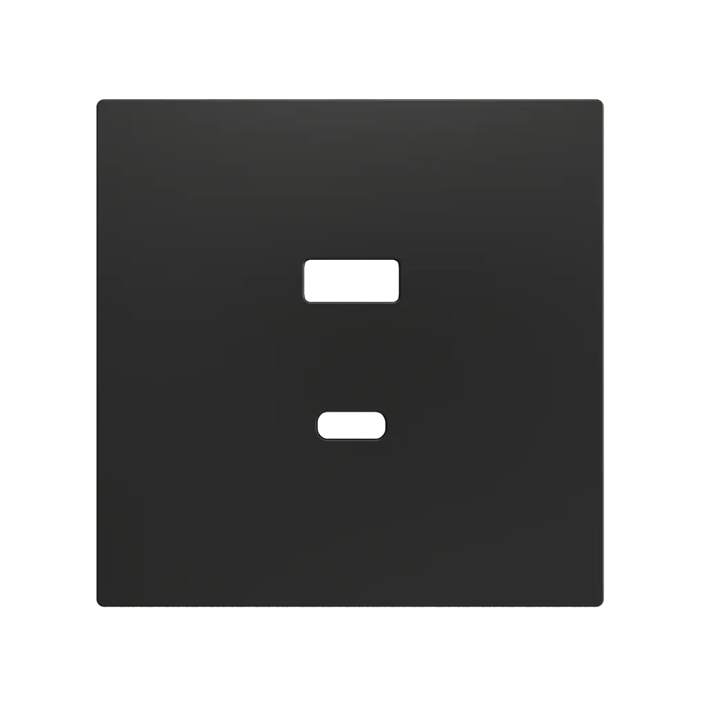 Zennio ZS70 - USB C+A centraalplaat (Antraciet)