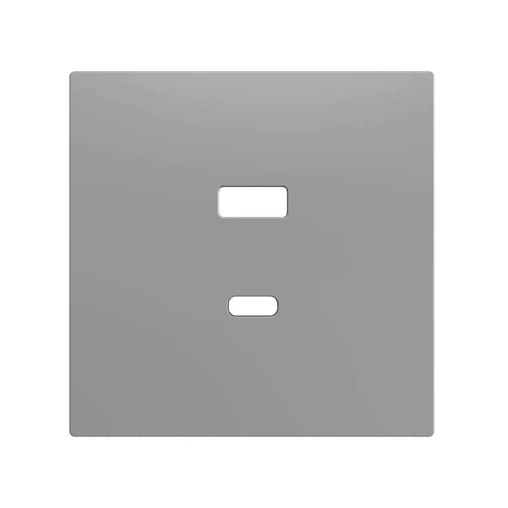 Zennio ZS70 - USB C+A centraalplaat (Zilver)