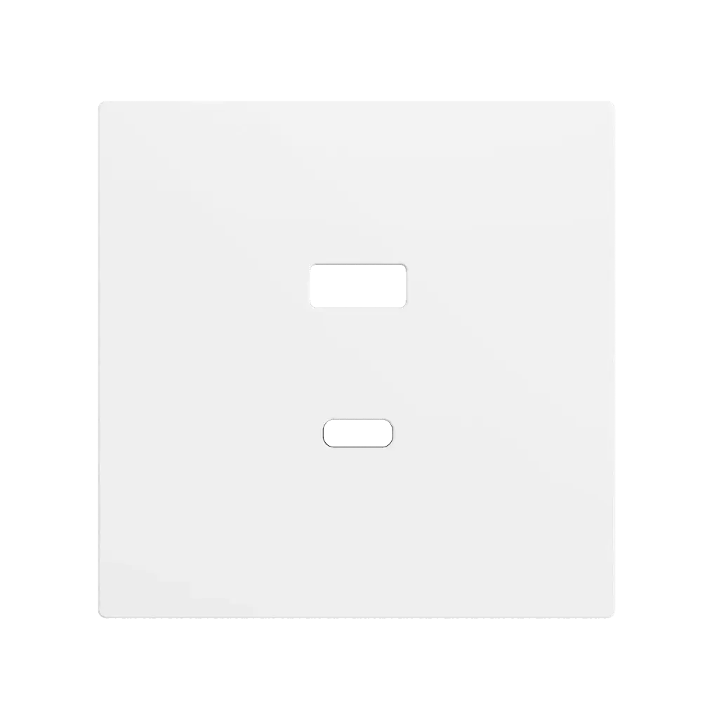 Zennio ZS70 - Cache USB C+A (Blanc mat)