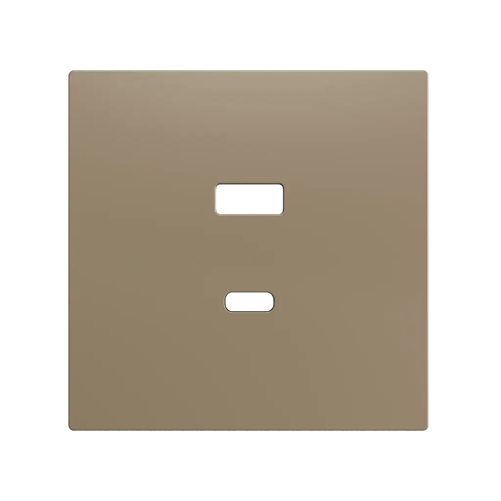 Zennio ZS70 - USB C+A centraalplaat (Champagne)