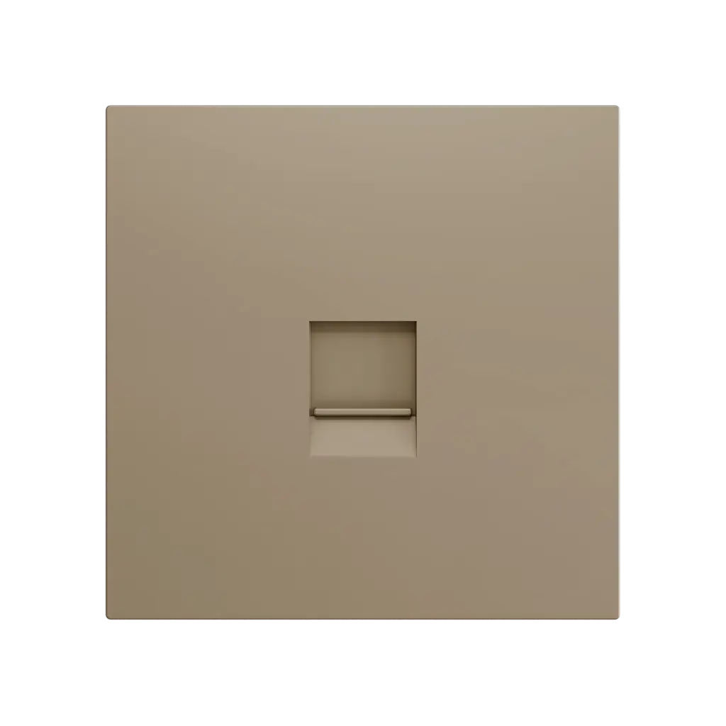 Zennio ZS70 - Centraalplaat voor enkele RJ45 connector (Champagne)