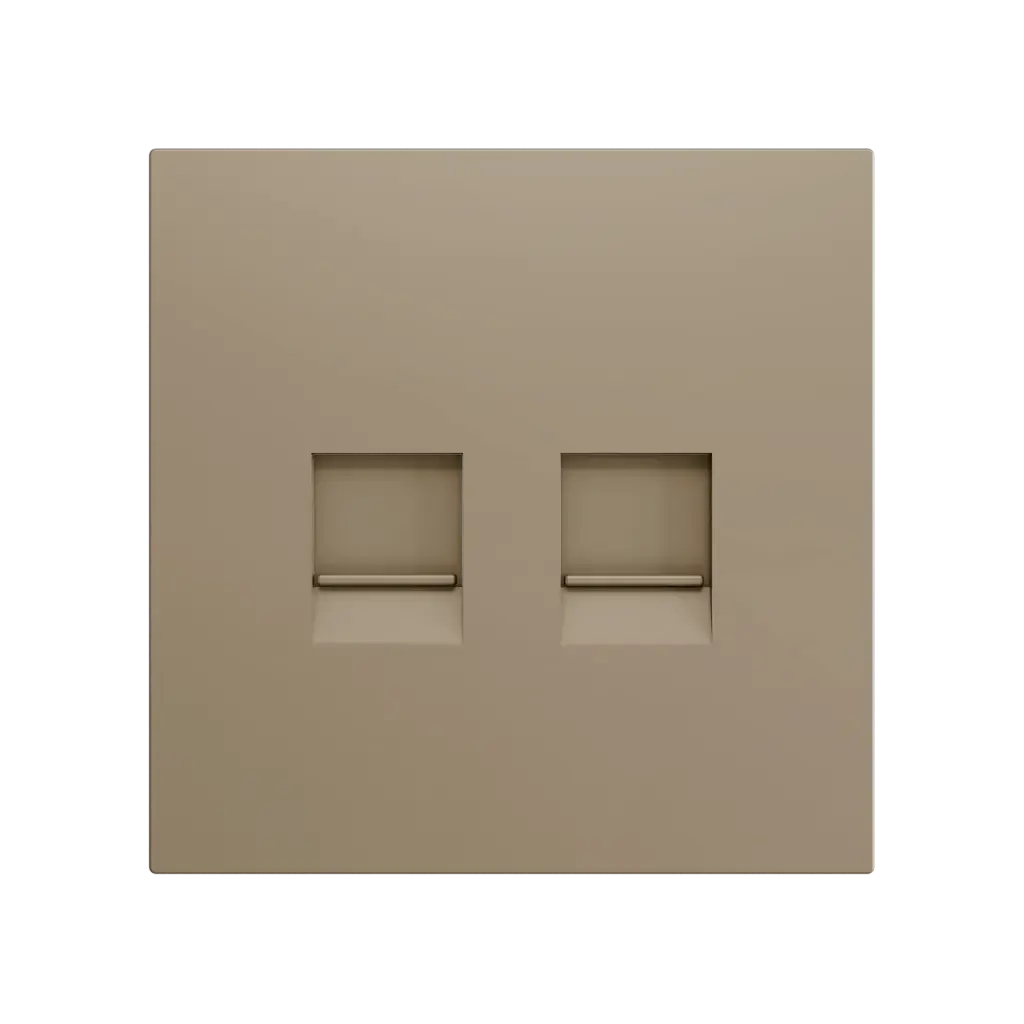 Zennio ZS70 - Centraalplaat voor dubbele RJ45 connector (Champagne)