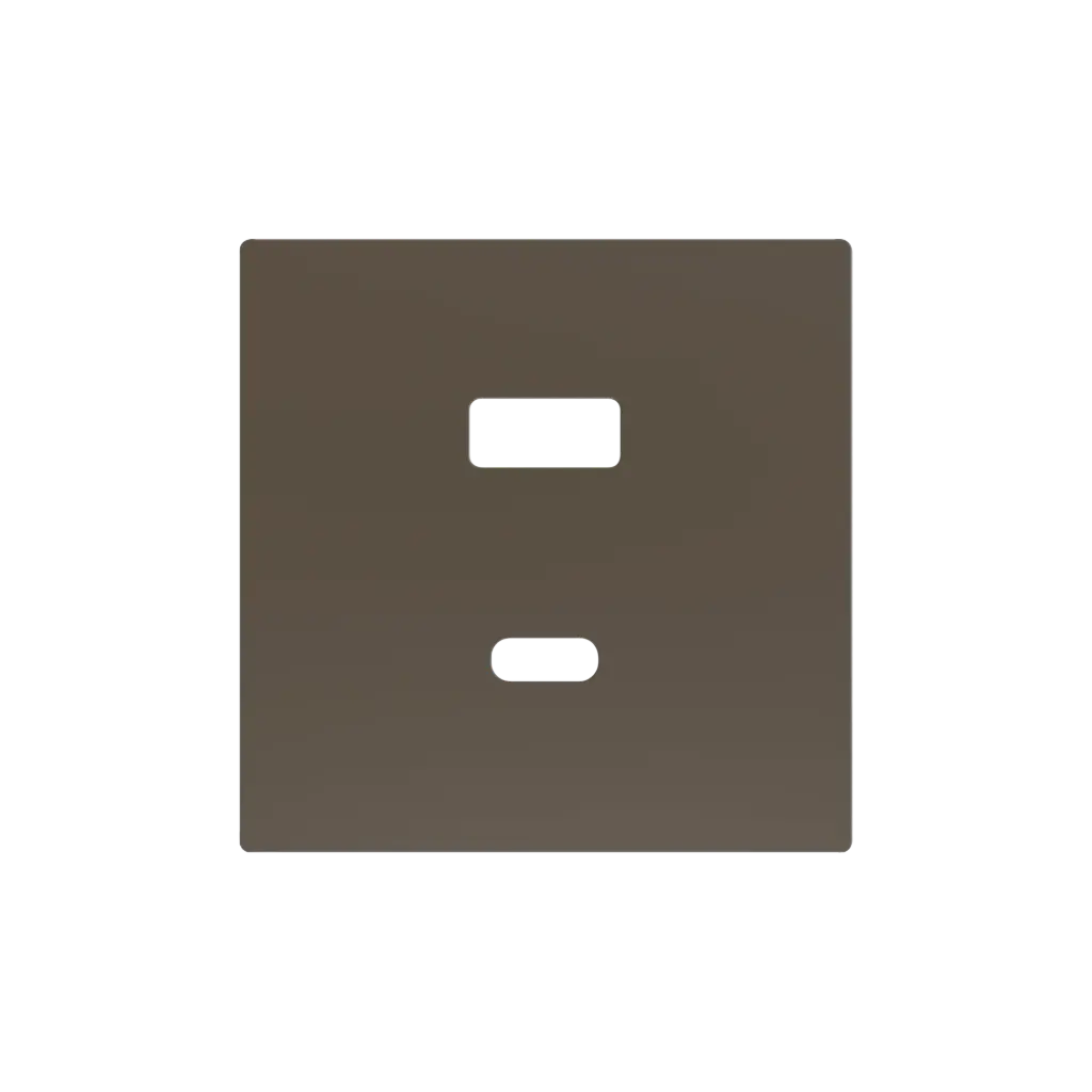 Zennio ZS55 - USB-C+A centraalplaat (Mokka)