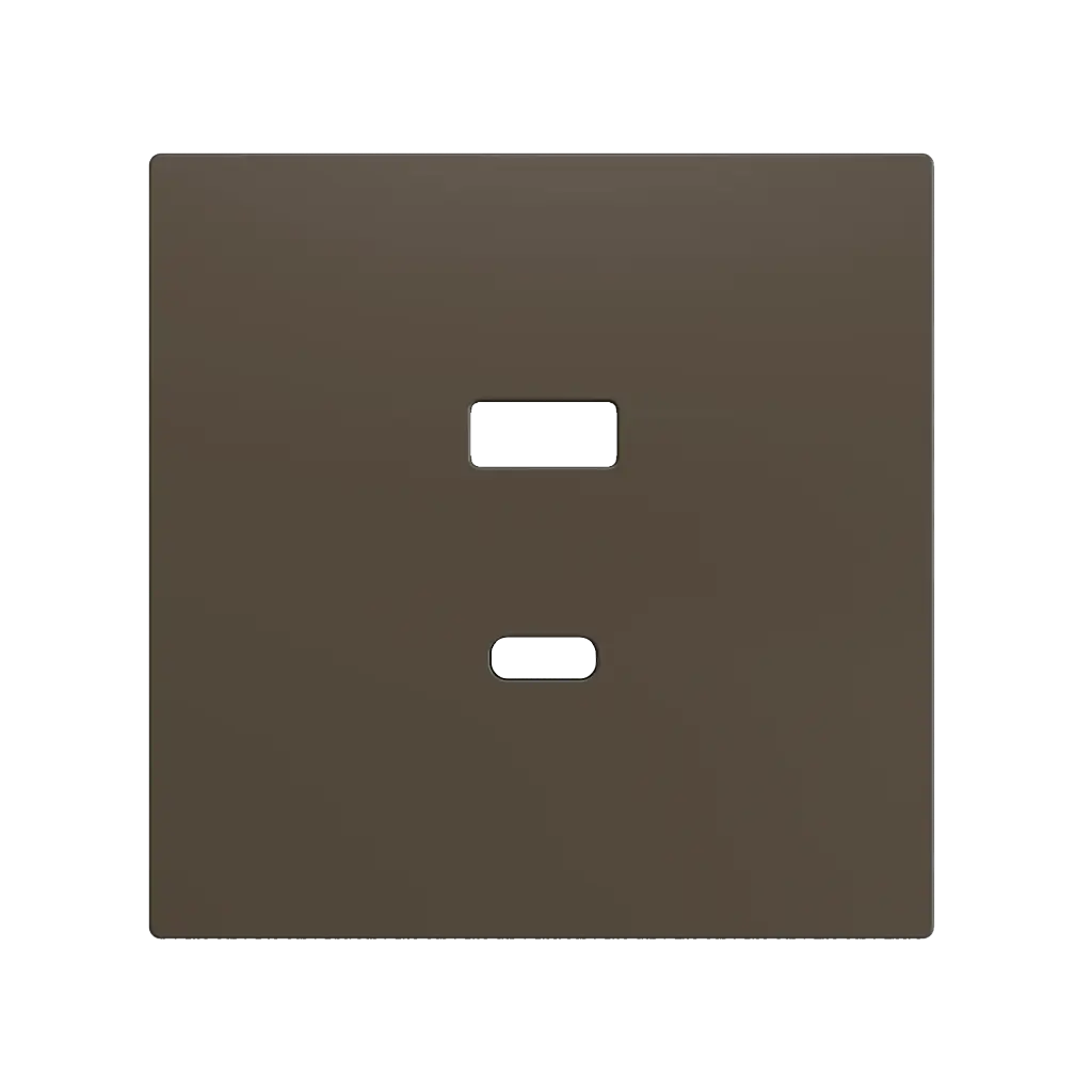 Zennio ZS70 - USB C+A centraalplaat (Mokka)