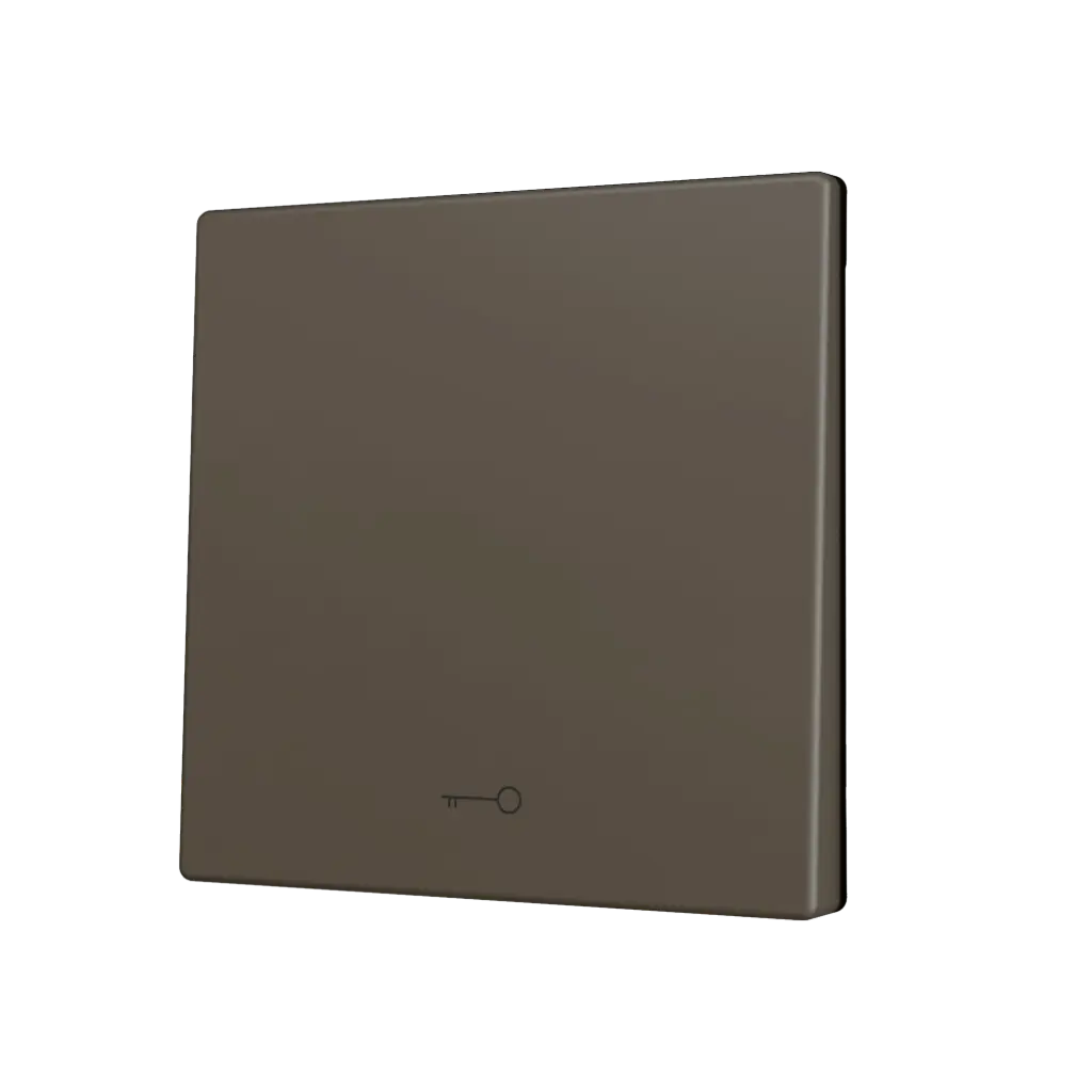 Zennio ZS70 - Touche simple (appui en bas) pour bouton poussoir KNX Soft - Icône de clef (Moka)