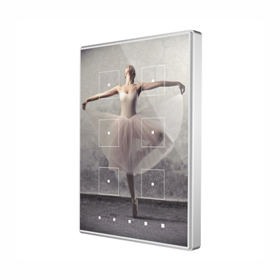 Zennio TMD Plus 6 (Aluminium - Custom)