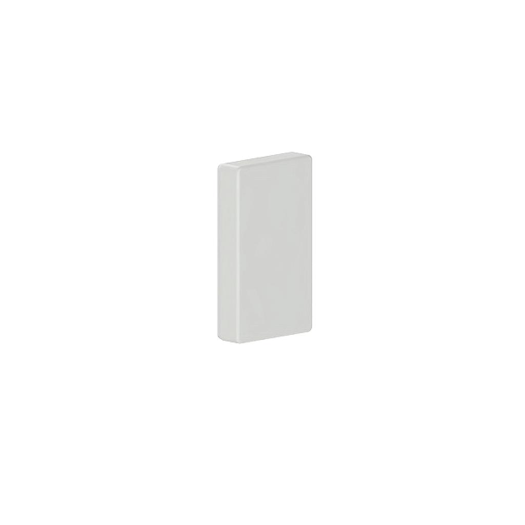 GGK BR, BRA, BRS 60x110/80 - Embout, 4 côtés recouvrants, gris lumière (7035)