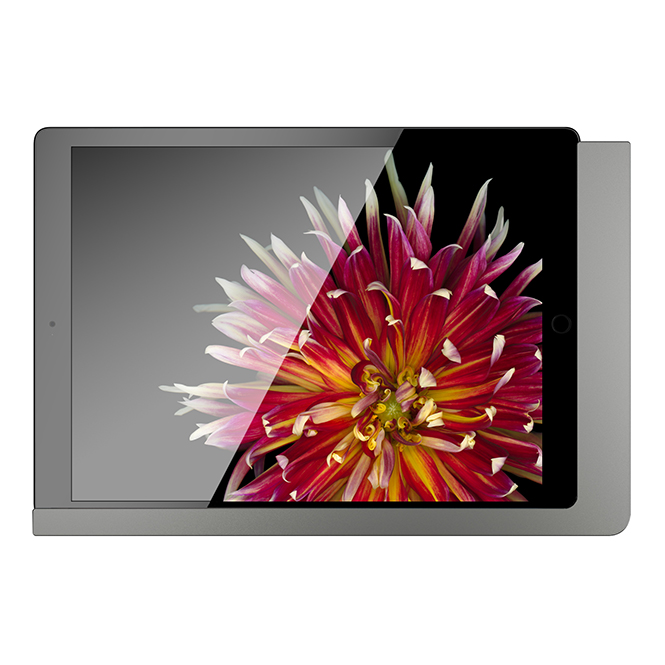 Viveroo Free LAN - iPad Air 2 &amp; Pro 1 (DarkSteel)