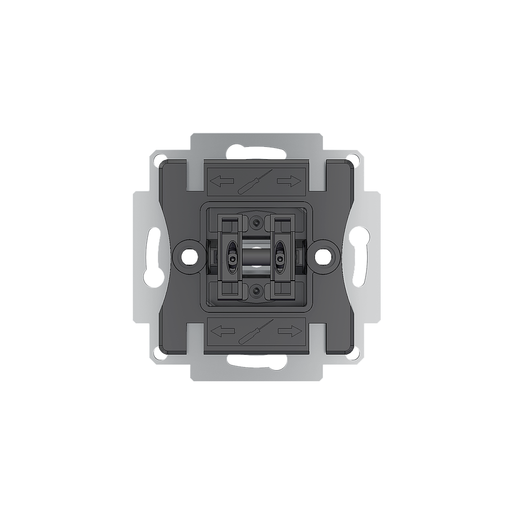 Zennio ZS55 - Mécanisme interrupteur double 2P 10AX/250V