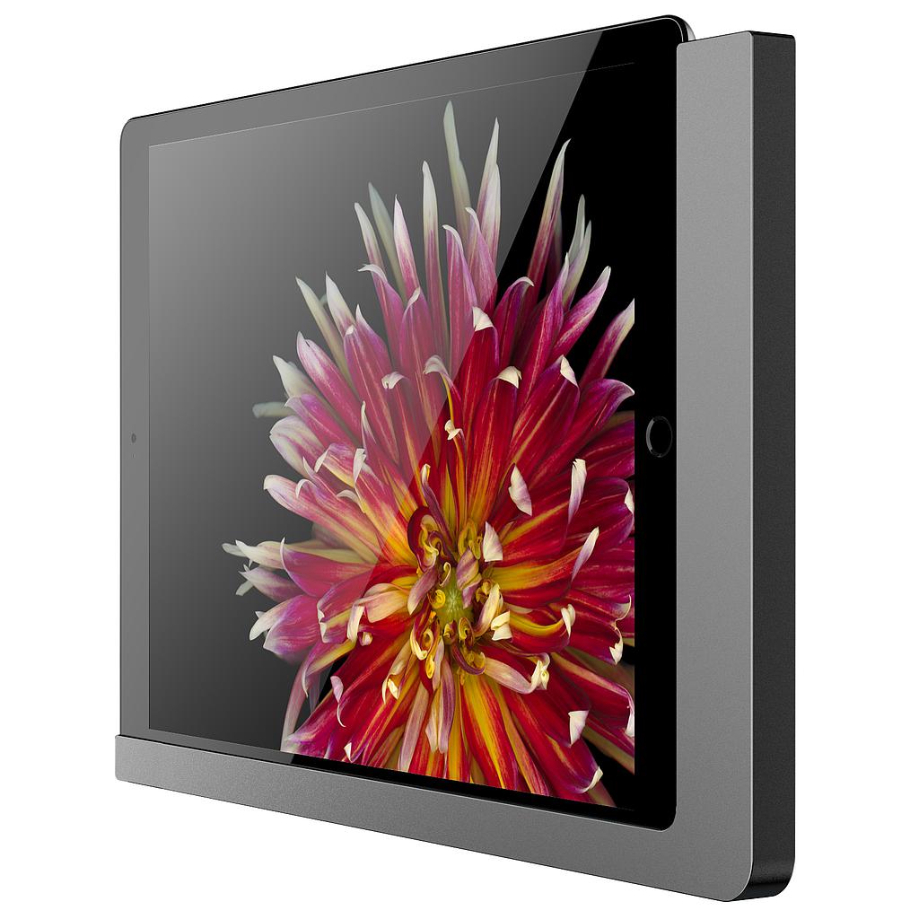 Viveroo Free LAN (PD) - iPad Mini 4&amp;5 (DarkSteel)