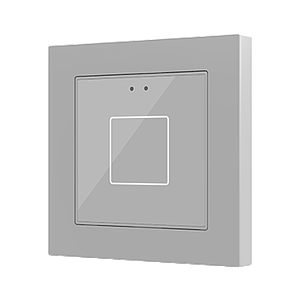 Zennio Flat 55 X1 v2 (Argent)