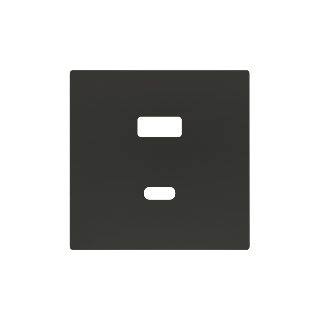 Zennio ZS55 - USB-C+A centraalplaat (Antraciet)