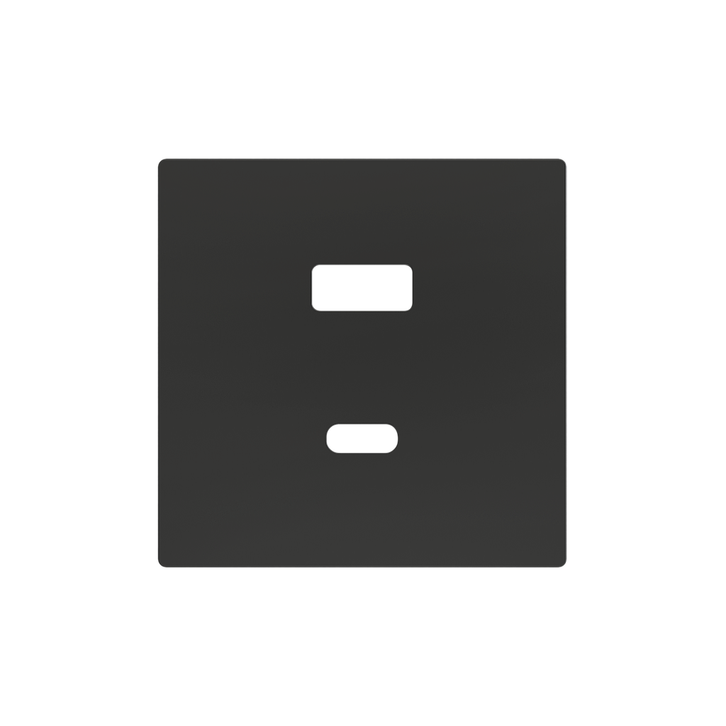 Zennio ZS55 - Enjoliveur USB-C+A (Antracite)