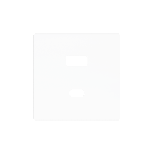 [ZEZS55C2UCAMW] Zennio ZS55 - Enjoliveur USB-C+A (Blanc mat)
