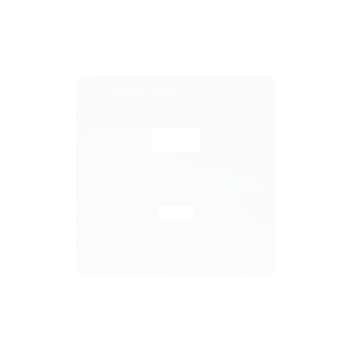 [ZEZS55C2UCAMW] Zennio ZS55 - USB-C+A centraalplaat (Mat wit)