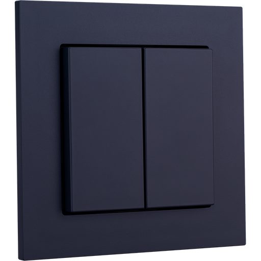 [WZ5518] Weinzierl Match 55 - Dubbele schakelaarafdekking (Zwart)