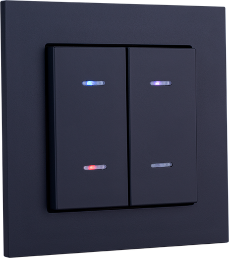 [WZ5522] Weinzierl Match 55 - Touche double avec indicateur statut (Noir)