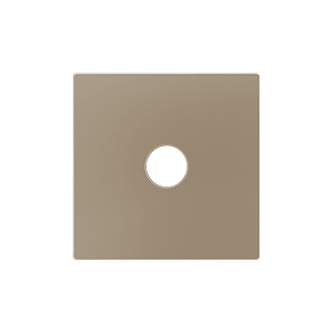 Zennio ZS55 - 3.5mm jack centraalplaat (Champagne)